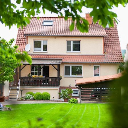 Ferienhaus Og1 "Westerwald Blick" Martinfeld Ngoại thất bức ảnh