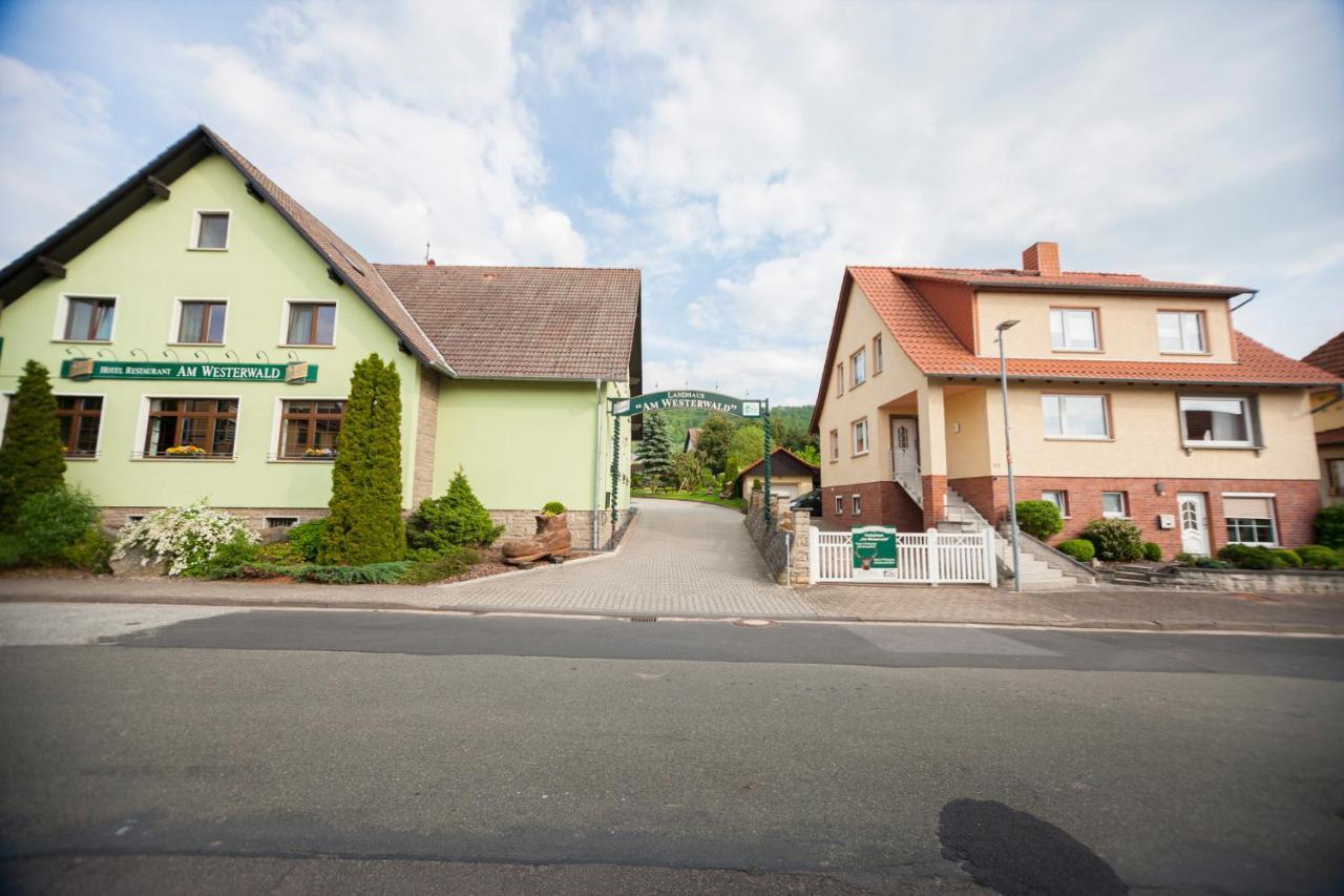 Ferienhaus Og1 "Westerwald Blick" Martinfeld Ngoại thất bức ảnh